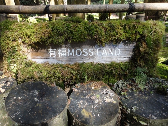 苔ランド