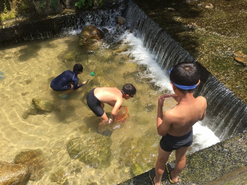 分水界